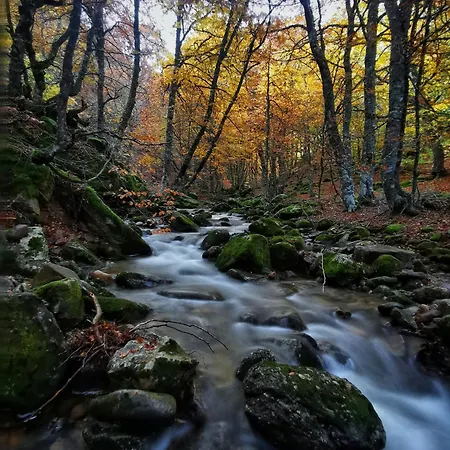 招待所 Cholo 3*