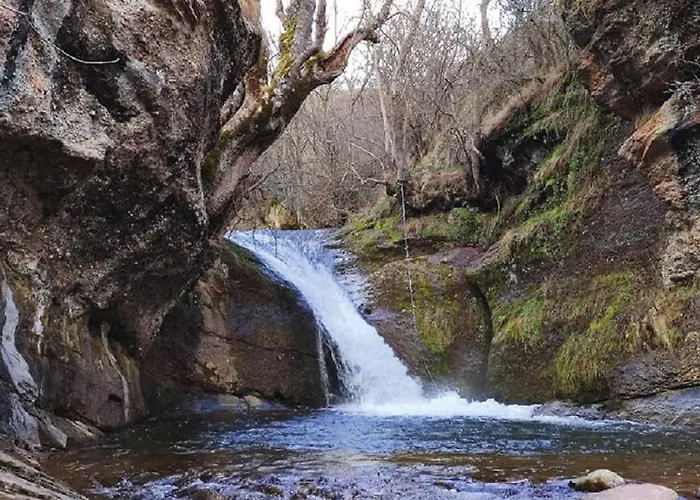 Cholo 게스트하우스 3*