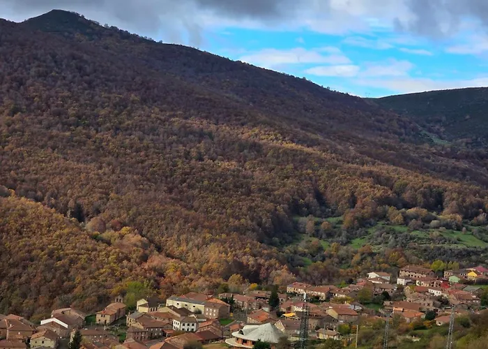 게스트하우스 Cholo 3*